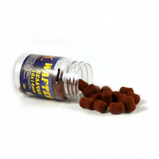 Wafters_Belachan_10x14_800web_2-550x550